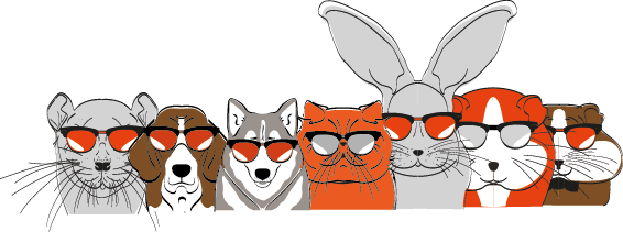 LuckyAnimals